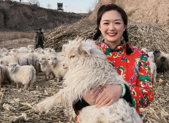 昆明侦探：男子看羊圈监控时意外发现妻子出轨